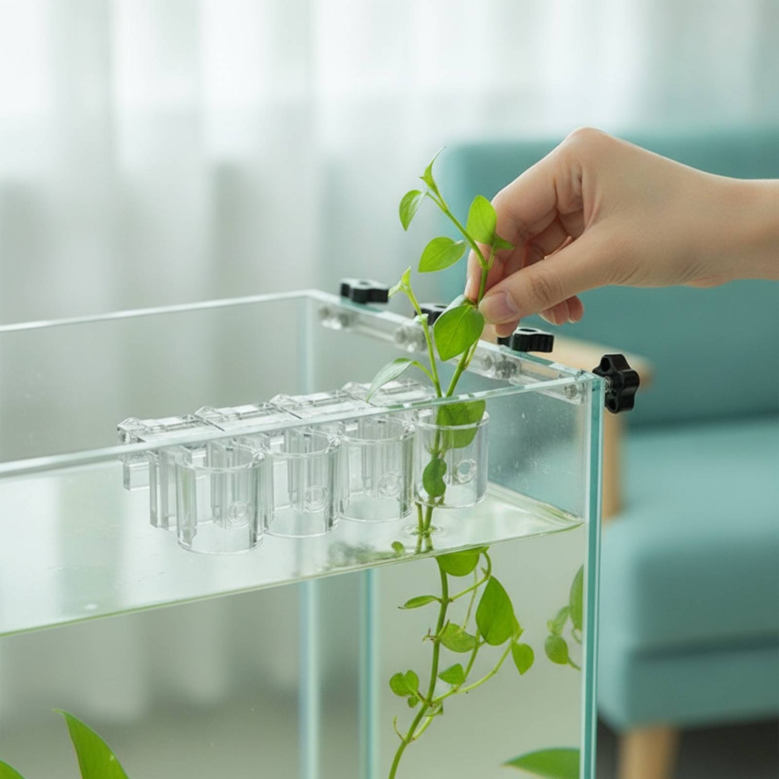 Aquarium Plants - Набор из 6 прозрачных гидропонных держателей