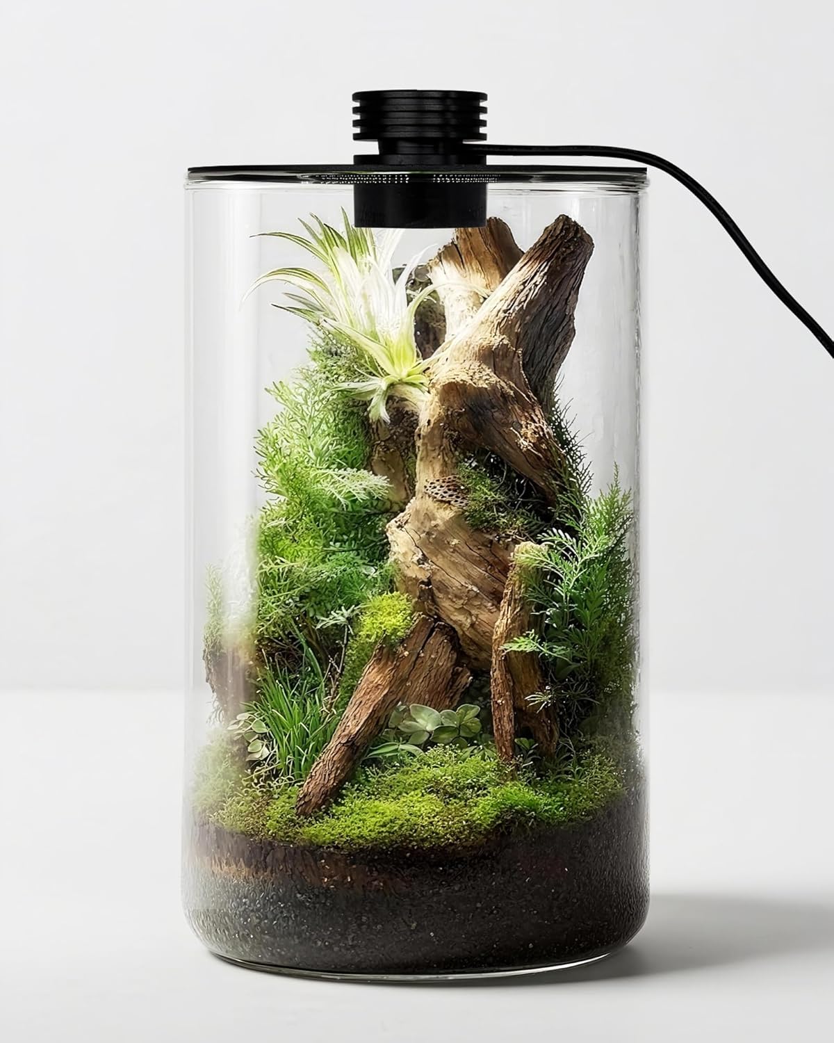 Betta Fish Tank - Стеклянный террариум для помещений с лампой