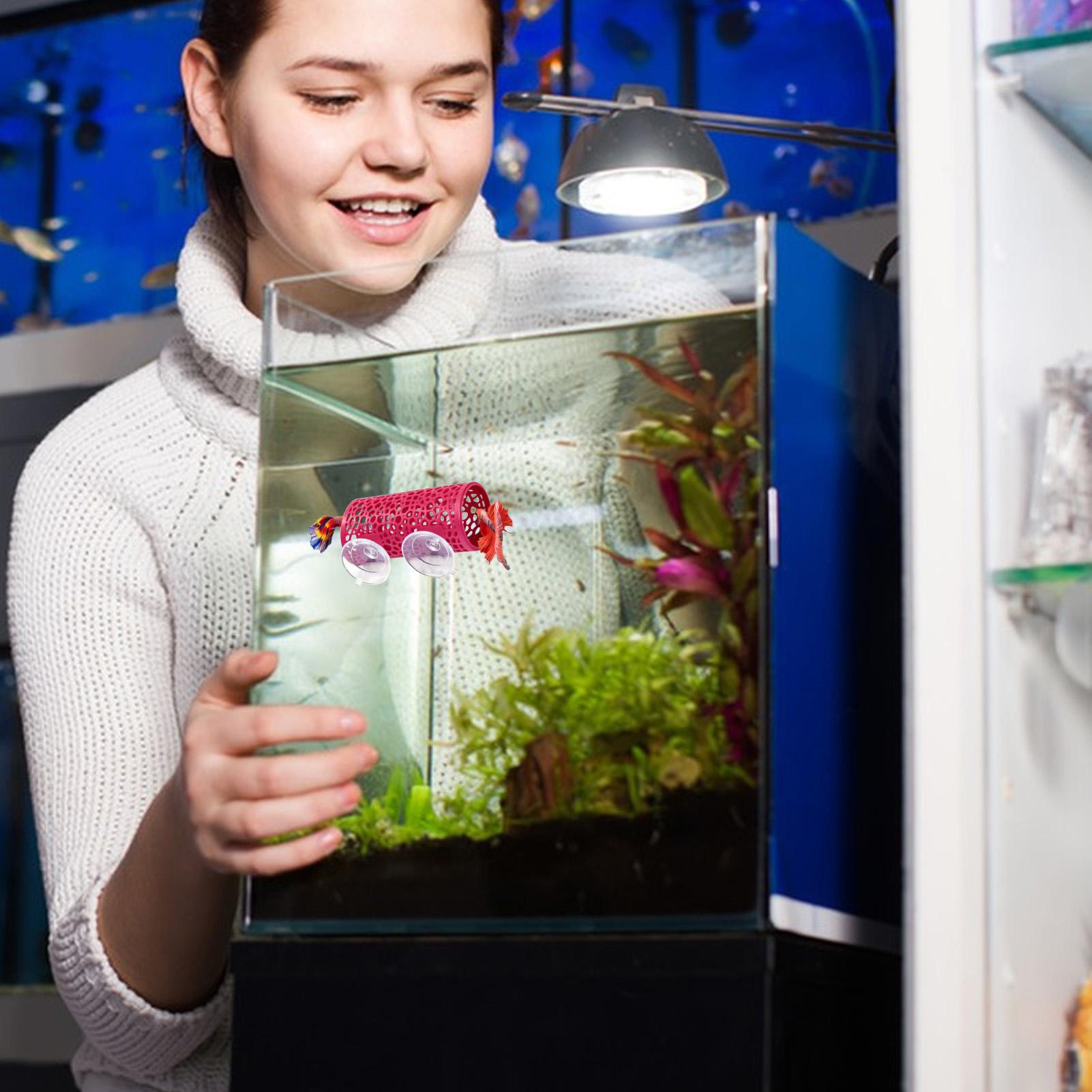 Уютное убежище-туннель для рыб – обзор и цена Betta Fish Tank