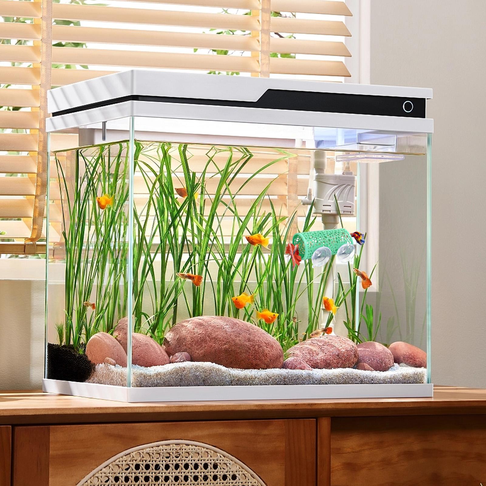Уютное убежище-туннель для рыб – обзор и цена Betta Fish Tank