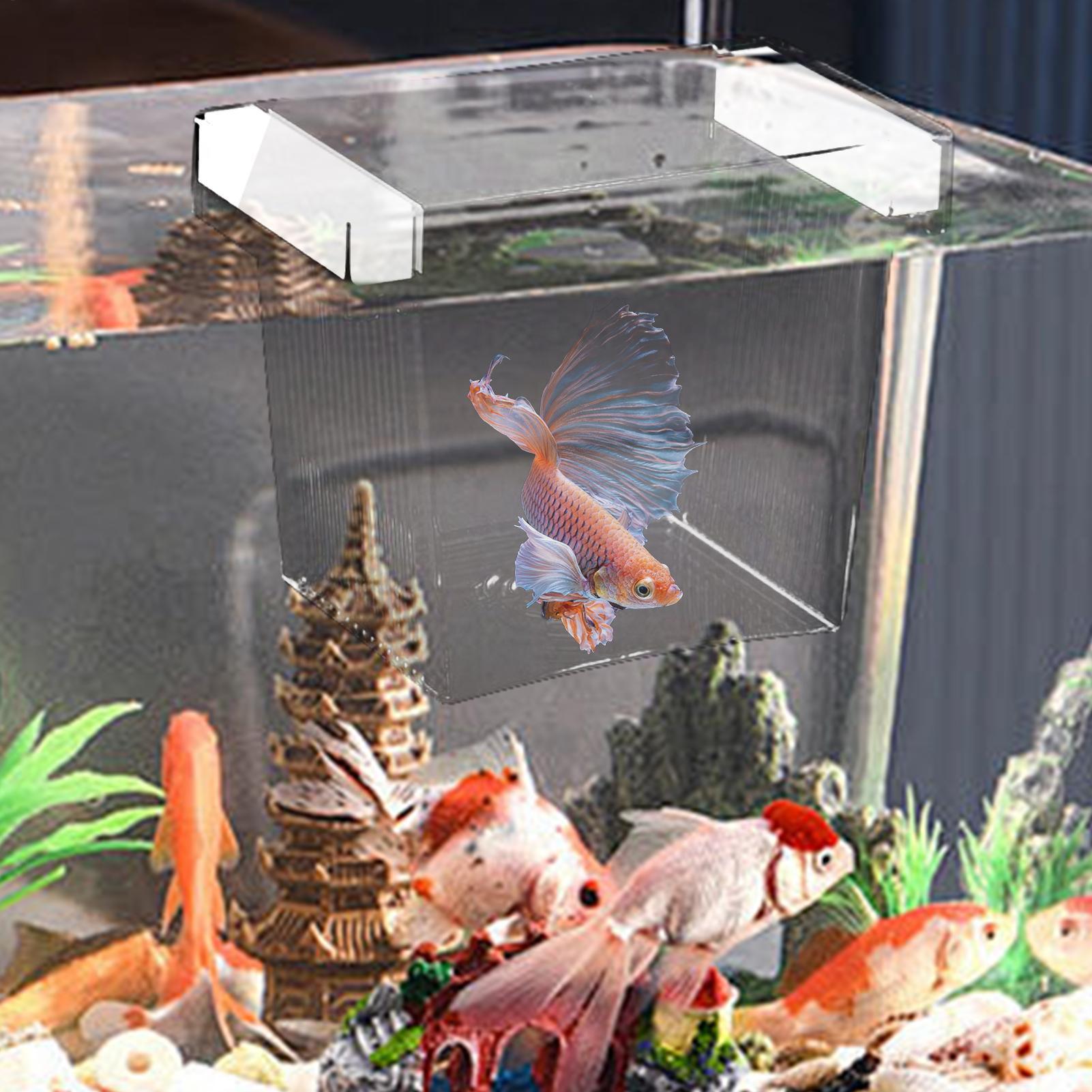 Плавающий изоляционный бокс дл – обзор и цена Betta Fish Tank