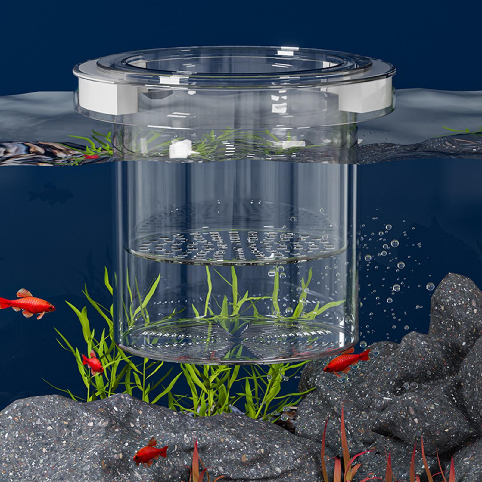 Плавающий изоляционный бокс дл – обзор и цена Betta Fish Tank