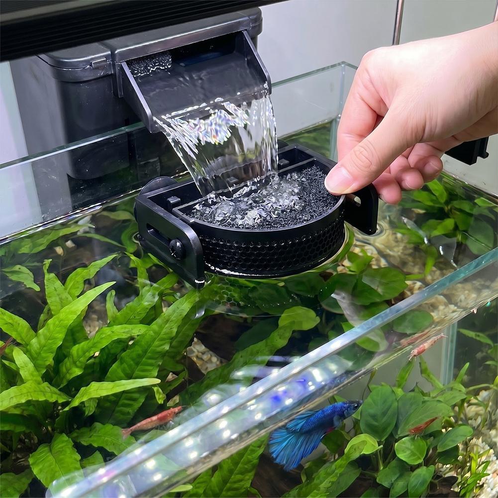    Премиум-фильтр-отражатель  – обзор и цена Betta Fish Tank