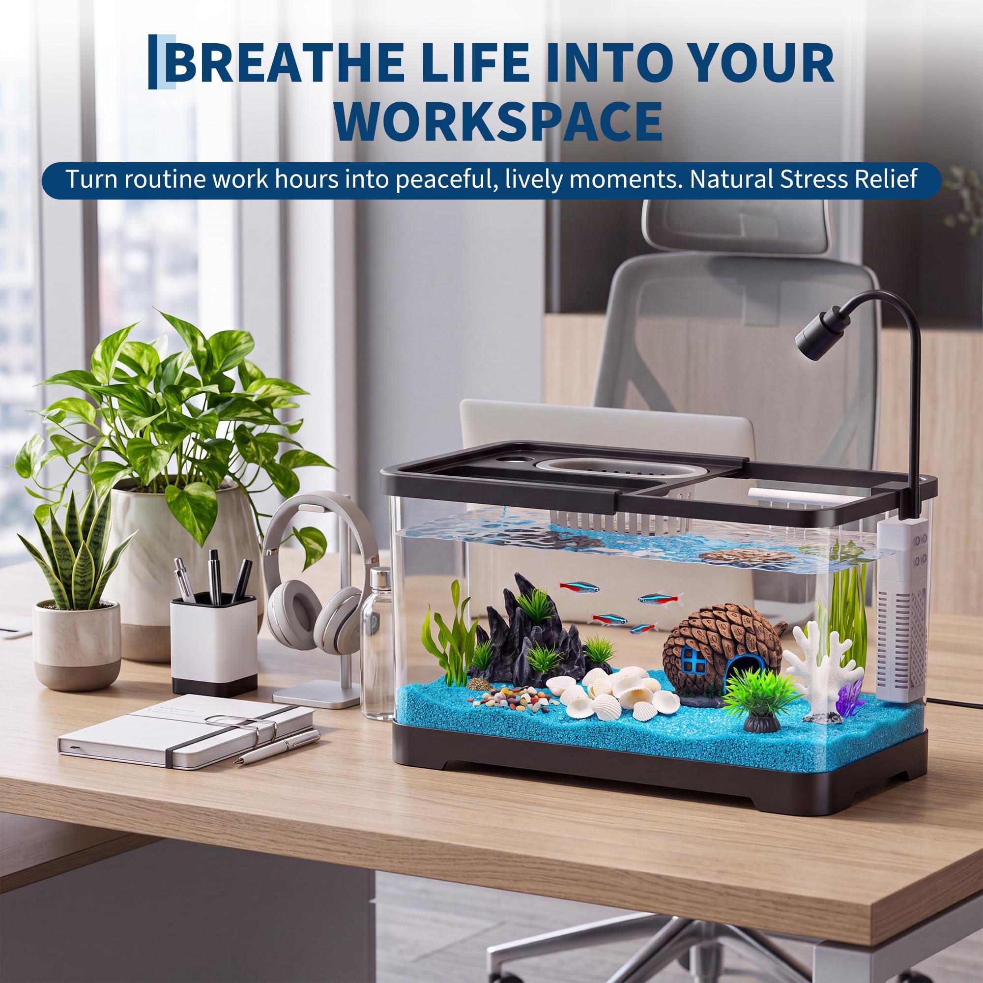 Набор для аквариума с фильтром – обзор и цена Betta Fish Tank