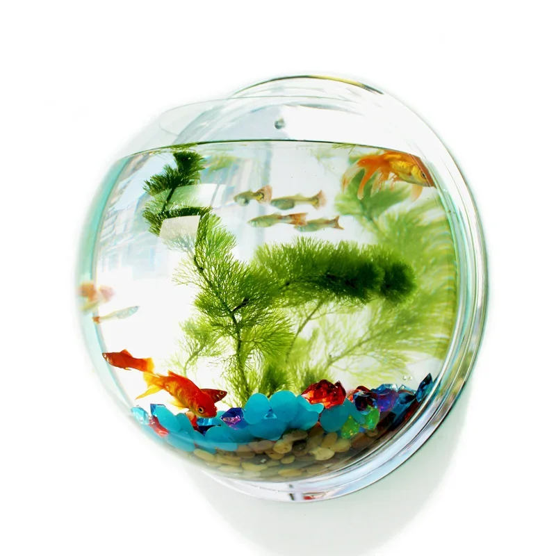 Акриловая миска для рыбы, наст – обзор и цена Betta Fish Tank