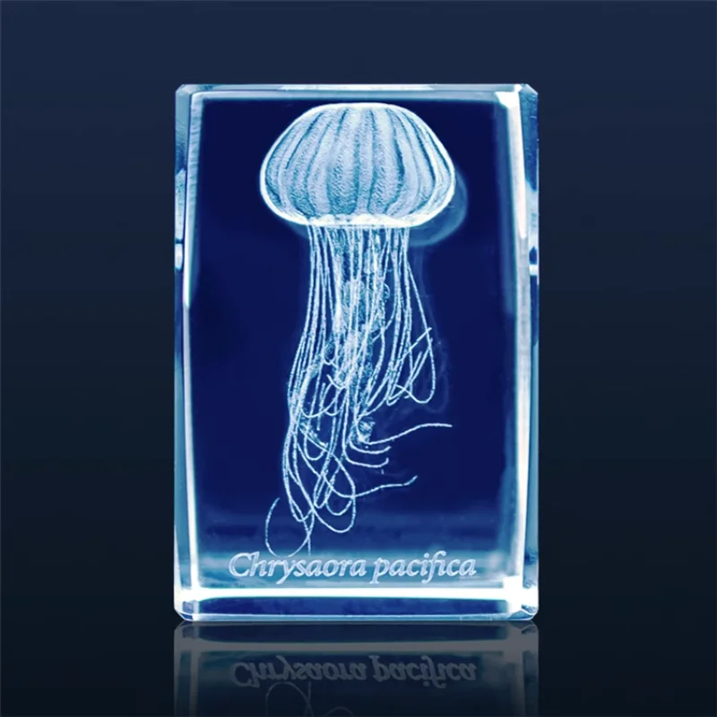 Японская Медуза гасяпон, 3D кр – обзор и цена Aquarium Fish Keeping
