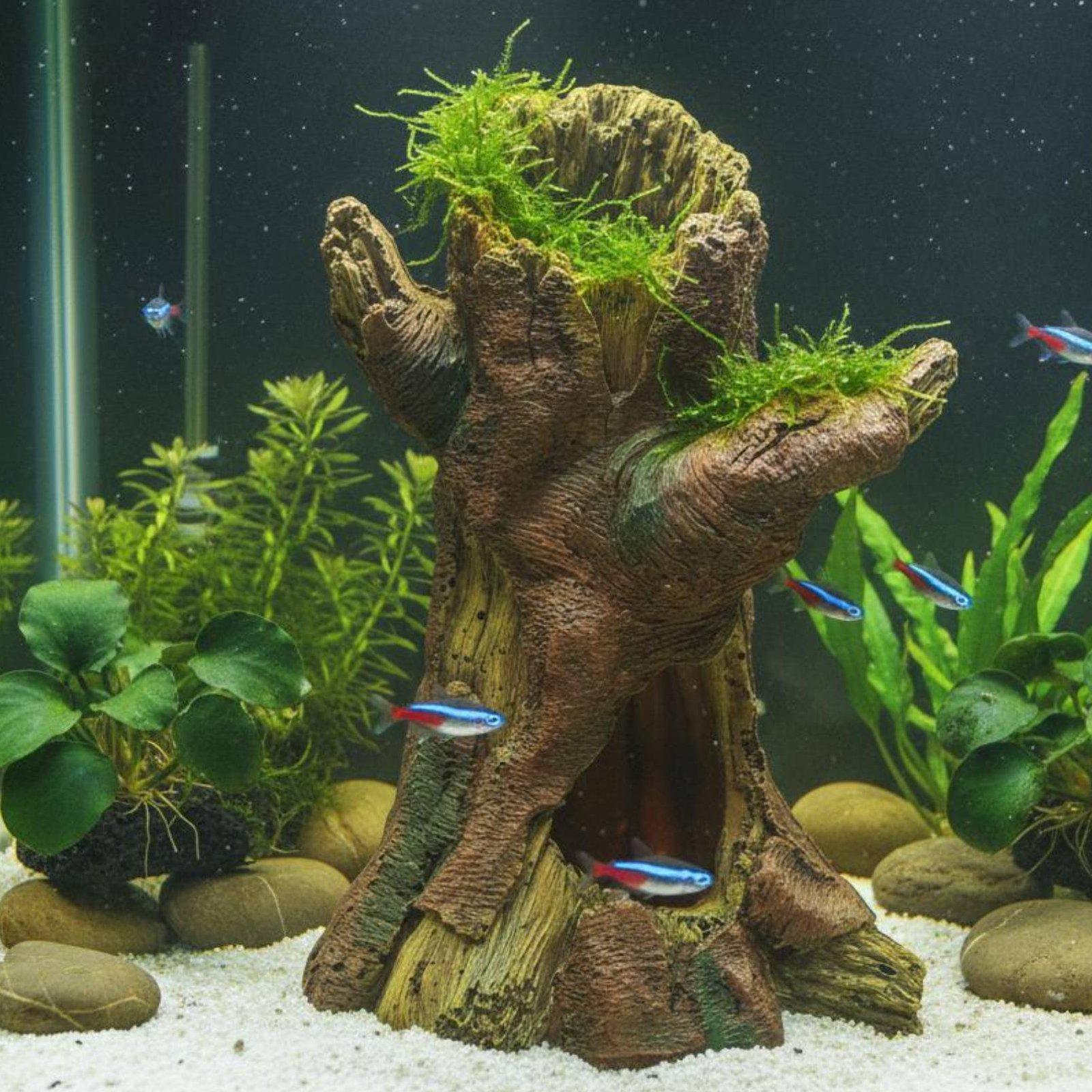 Декор для аквариума: Декоратив – обзор и цена Aquarium Decor