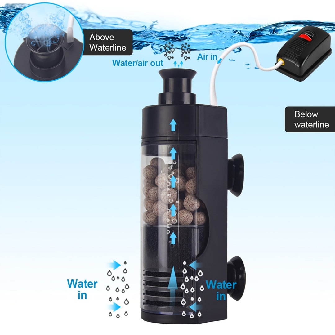 Компактный настенный биогубчат – обзор и цена Betta Fish Tank