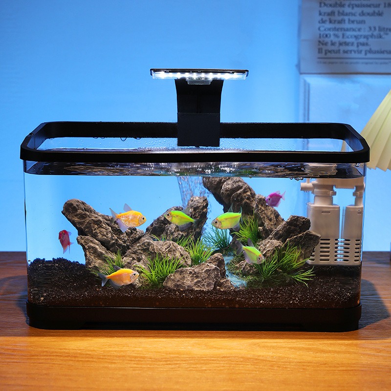 Настольный аквариум с циркуляц – обзор и цена Fish Aquarium Home