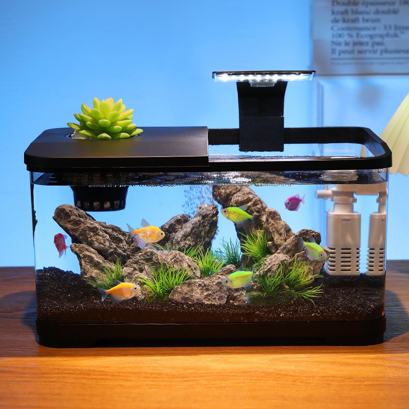 Настольный аквариум с циркуляц – обзор и цена Fish Aquarium Home