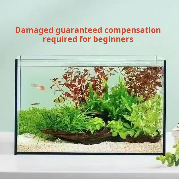 Ультрапрозрачный большой прямо – обзор и цена Aquarium Fish Keeping