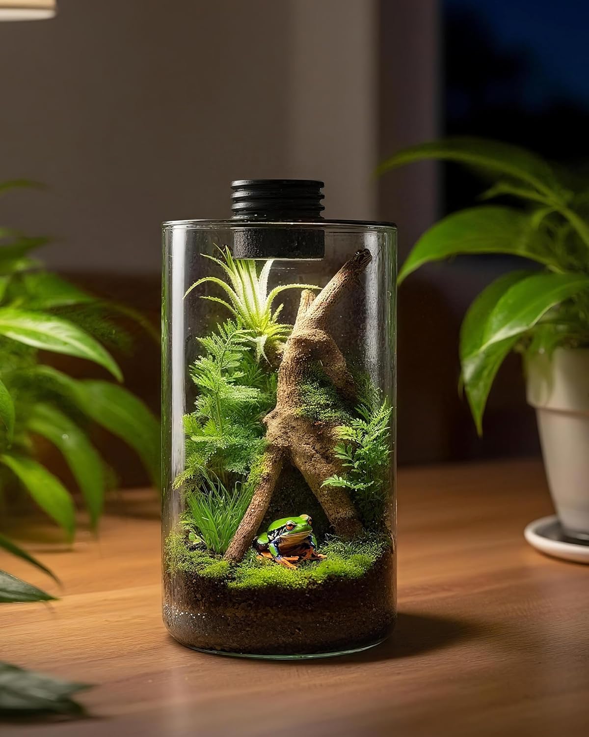 Стеклянный террариум для помещ – обзор и цена Betta Fish Tank