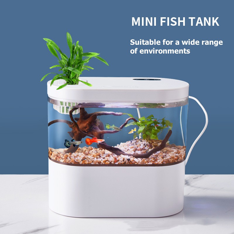Креативный мини-аквариум для р – обзор и цена Betta Fish Tank