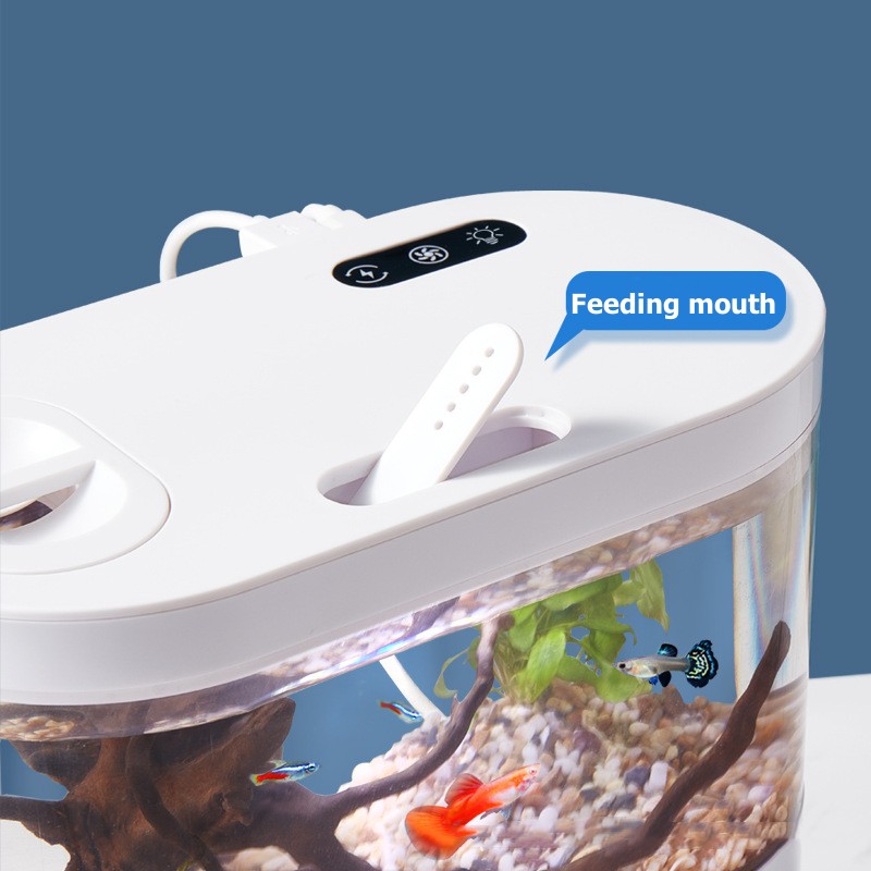 Креативный мини-аквариум для р – обзор и цена Betta Fish Tank