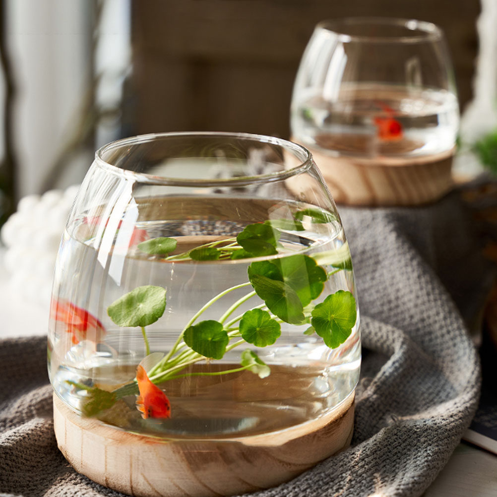 1 комплект: прозрачный стеклян – обзор и цена Aquarium Plants